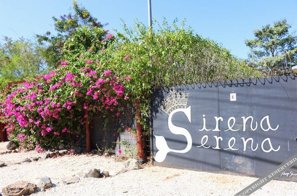 Sirena Serena B&B And Retreat Tamarindo Eksteriør billede